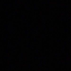 Meet your Posher, Dennis